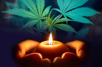 Bancada Evangélica VS Cannabis Medicinal: Um Conflito em Transformação