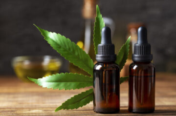 Países utilizam cannabis medicinal