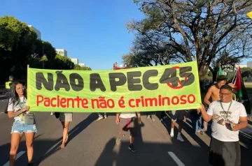 Descriminalização da Maconha no Brasil e a Proposta de Emenda Constitucional das Drogas: Um Paralelo Necessário?